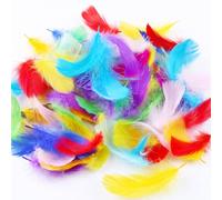 Carehabi 300 Piezas Plumas de Colors 8-12 cm Plumas Manualidades Tocado Artesanía para DIY Pendiente Bodas Decoraciones de Navidad y Fiestas