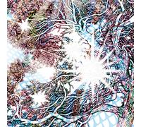 Carey Dro - Journey With The Heavy