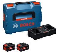 Cargador Baterías Bosch Expert EXAL18V2-320 18V 8Ah x2 AMPShare