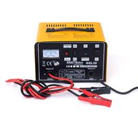 Cargador De Batería De Automóvil 12V 24V 30A Cargador De Batería 250Ah