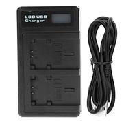 Cargador de Batería de Cámara NP - FV100 con Pantalla LCD, Carga de Ranura Doble, con Cable USB