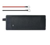 Cargador de batería de litio 10A 12/14.6V inteligente automático BMS para coche, RV, motocicleta, camión, barco