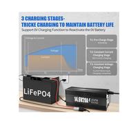 Cargador de Batería de Litio de 12V 20A, Cargador de Batería LiFePO4 de 14.6V de Alta Potencia con Carcasa de Aluminio Premium - Activación de 0V,