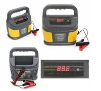 Cargador De Batería Inteligente De Microprocesador 12V / 24V 60-200Ah