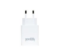 Cargador de Pared IGGUAL 1xUSB 5V/2.4A (12W) Universal Blanco
