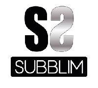 subblim cargador gan 20w charger usb c