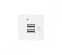 Maclean MCE728W - Cargador de Enchufe USB Con 2 Puertos de Hasta 2,1 A, Caja de Pared Modular de Carga Rápida, Montaje Empotrado (Blanco)