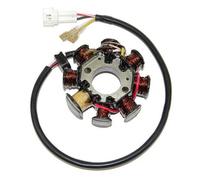 Cargador ElectroSport ESG146 para alternador