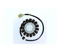 Cargador ElectroSport ESG305 para alternador