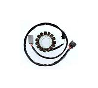 Cargador ElectroSport ESG549 para alternador