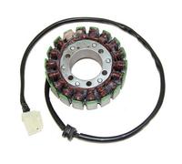 Cargador ElectroSport ESG794 para alternador