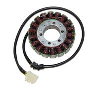 Cargador ElectroSport ESG959 para alternador