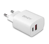 Cargador Lindy 73413 20W USB-C y USB 2.0 Carga Rápida 12V 3A