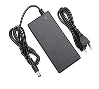 Cargador para ebike Cecotec Troton Boing Fat Bicinete Fuente alimentación alimentador Cable de Carga