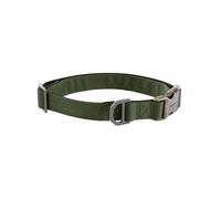 Carhartt Collar de perro de campo, totalmente ajustable, tela duradera de 600 denier con marca reflectante para visibilidad, hoja de roble, talla M