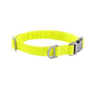 Carhartt Collar de Perro de Campo, Totalmente Ajustable, Tela Duradera de 600 Denier con Marca Reflectante para Visibilidad, Lima Brite, Talla M