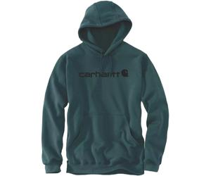 Carhartt Signature Logo Midweight Sudadera con capucha, negro/verde, Talla L