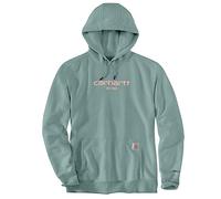 Carhartt Sudadera con capucha para hombre con logo Lightweight Graphic, azul surf, XL