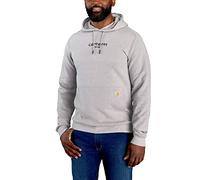 Carhartt Sudadera con capucha para hombre con logotipo de Light, Heather Asphalt, XXL grande