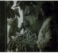 Caribbean Island Music