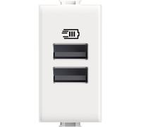 Bticino AM4191AA Cargador USB con Dos entradas Tipo A para Instalar en la Placa Matix para Cargar un Dispositivo electrónico de hasta 15 W o Dos Dispositivos simultáneos, 1 Plaza, Color Blanco
