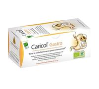Caricol Gastro 20 sticks 20 g - CIEN POR CIEN NATURAL - complemento para confort digestivo