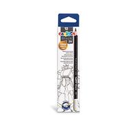 CARIOCA BLACK PENCIL | 42928 - Lápices de Grafito Triangulares, 2H, 12 Unidades
