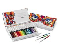 CARIOCA Plus I Lápices de color de madera 4.0 con mina gruesa blanda altamente pigmentada I Estuche rígido I 40 piezas