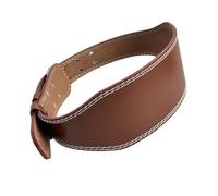 CARISSETT Cinturón ajustable de poliuretano para alivio de espalda baja y corrección de posturas, cinturón ajustable de cintura ancha a juego, marrón, L