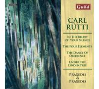 Carl Rütti Carl Rutti: In the Belfry of Your Silence/The (CD) (Importación USA)