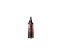 Carlo Alberto, Vermouth Rosso, 1000ml, Notas especiadas y herbáceas, 25 hierbas y especias seleccionadas, Vermouth di Torino, Ideal para cócteles, Negroni, Americano, Aperitivo, 17% Vol.