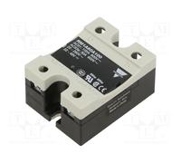 CARLO GAVAZZI RM1A60A100 Relé