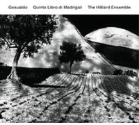 Carlo Gesualdo Gesualdo: Quinto Libro Di Madrigali (CD) Album (Importación USA)