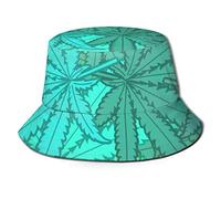 Carlos Barbosa-Lima - Plays the music of Antonio Carlos Jobim & George Gershwin