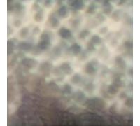 Carlos Cipa - Ourselves, As We Are (CD)