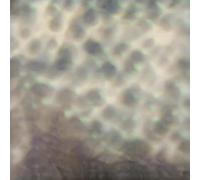 Carlos Cipa - Ourselves, as we are (LP) [Vinilo]