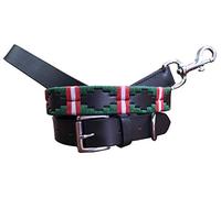 Carlos Diaz Collar de Perro Premium Bordado y Encerado Estilo Polo de Cuero Genuino + Correa Que Combina L