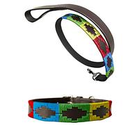 Carlos Diaz Collar de Perro Premium Bordado y Encerado Estilo Polo de Cuero Genuino + Correa Que Combina L