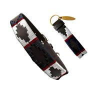 Carlos Diaz Collar de Perro Premium Bordado y Encerado Estilo Polo de Cuero Genuino XXS