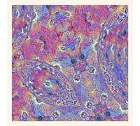 Carlos Niño & Friends - PLACENTA [Vinilo]