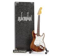 Carlos O'Connell - Réplica en miniatura de guitarra blanca - Fontaines D.C. - Regalos musicales - Escala ornamental hecha a mano 1/4 - Incluye una caja de exhibición, etiqueta de nombre y soporte para