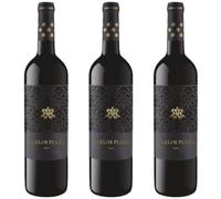 Carlos Plaza Merlot, vino tinto español suave y envolvente, ideal para quienes disfrutan sabores frutales con elegancia y un final largo y armonioso.| 3 botellas