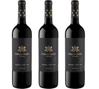 Carlos Plaza Selección, vino tinto español joven con Syrah, Tempranillo y Merlot, ideal para compartir momentos especiales con sabor equilibrado y frutal.| 3 botellas