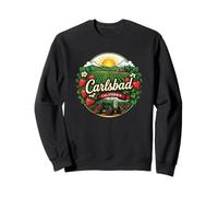Carlsbad California Strawberry Farm Vintage Diseño Gráfico Sudadera