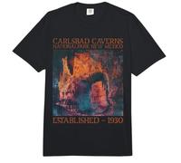 Carlsbad Caverns National Park | New Mexico Comfort Colors Adult Heavyweight T-Shirt
