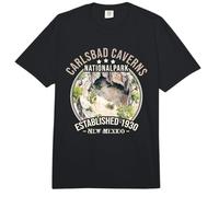 Carlsbad Caverns National Park | New Mexico Comfort Colors Adult Heavyweight T-Shirt