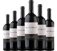 Carmelo Rodero Pago de Valtarreña, vino tinto español de cosecha con Tinta del País, ideal para disfrutar sabor intenso, cuerpo y aromas auténticos.| 6 botellas