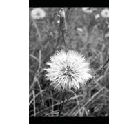 Carmen -Annotated Reader’s Edition: A Modern Reader’s Edition with Chapter by Chapter Introduction, Cultural Notes & Learning Tools