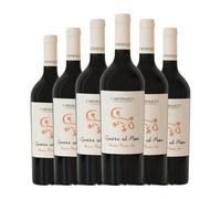 Carminucci Grotte sul Mare Rosso Piceno 75 cl Vino tinto (Caja de 6 Botellas de 75 cl)