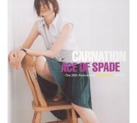 Carnation - Ace of Spades